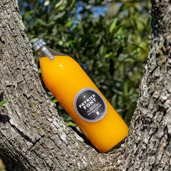 Nectar Mangue BIO
