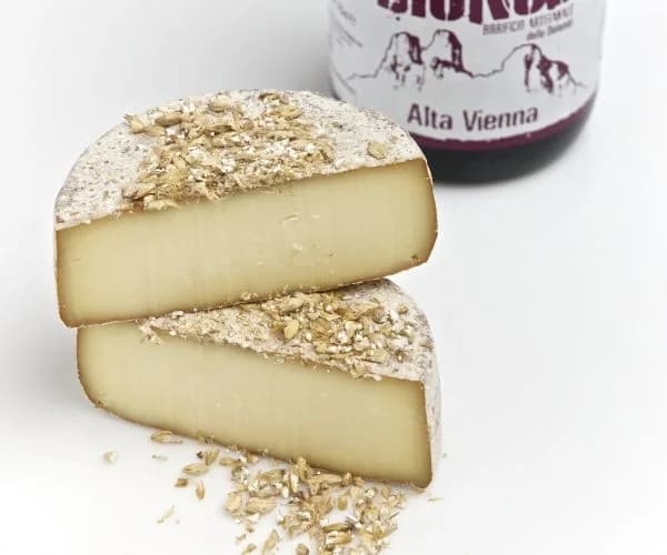 Birretta Tometta (Fromage de vache à la bière)