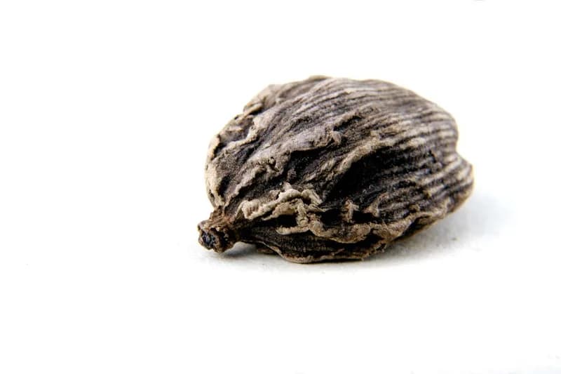 Cardamome Noire du Népal