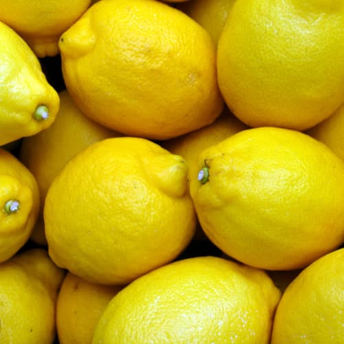 Sorbet Citron Jaune